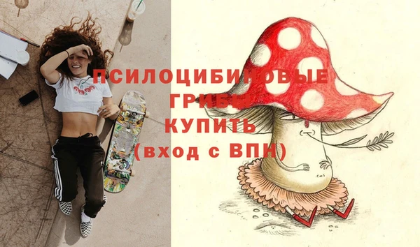 прущий лед Алзамай