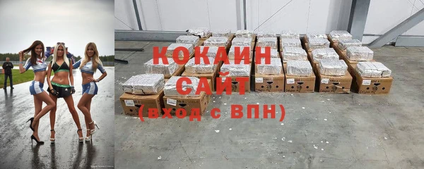прущий лед Алзамай