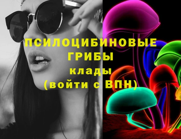 прущий лед Алзамай