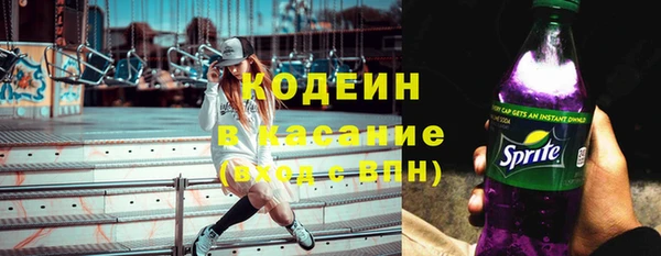прущий лед Алзамай