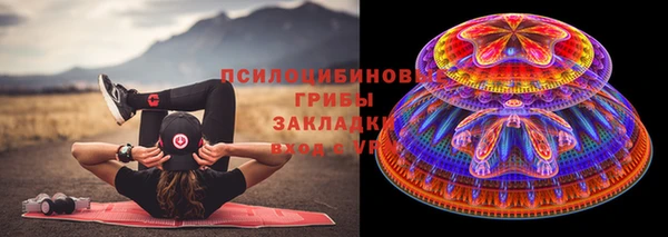 прущий лед Алзамай
