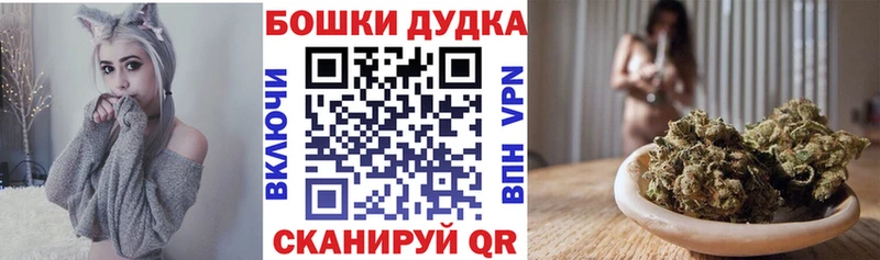 Бошки Шишки SATIVA & INDICA  купить закладку  Петрозаводск 